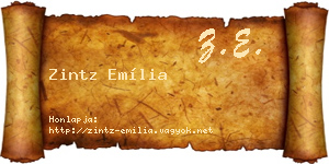 Zintz Emília névjegykártya